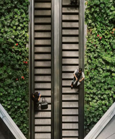 milly-vueti-0n2m2Uw1A6Q-unsplash milly-vueti-0n2m2Uw1A6Q-unsplash